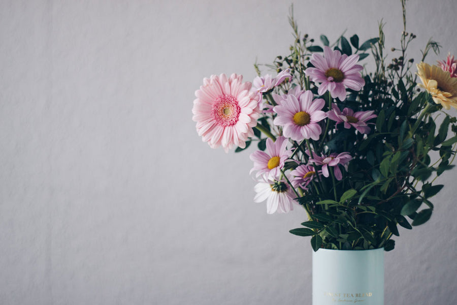 Evita estos errores al cuidar tus flores