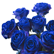Load image into Gallery viewer, Blue Roses
