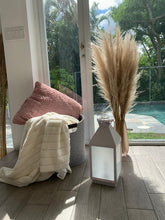 Load image into Gallery viewer, Pampas grass de 36” x 5 tallos
