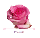 Load image into Gallery viewer, Color Roses