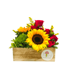 Load image into Gallery viewer, Sleeping Beauty - PR Floral Marketing