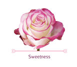 Load image into Gallery viewer, Color Roses