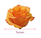 Load image into Gallery viewer, Color Roses - PR Floral Marketing