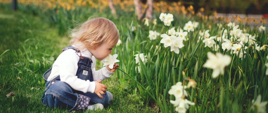 Flores ideales para ambientes fríos