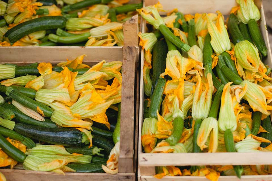 Bellísimas y degustables: Flores que son comestibles