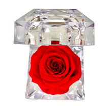 Cargar imagen en el visor de la galería, Floral Jewelry Box
