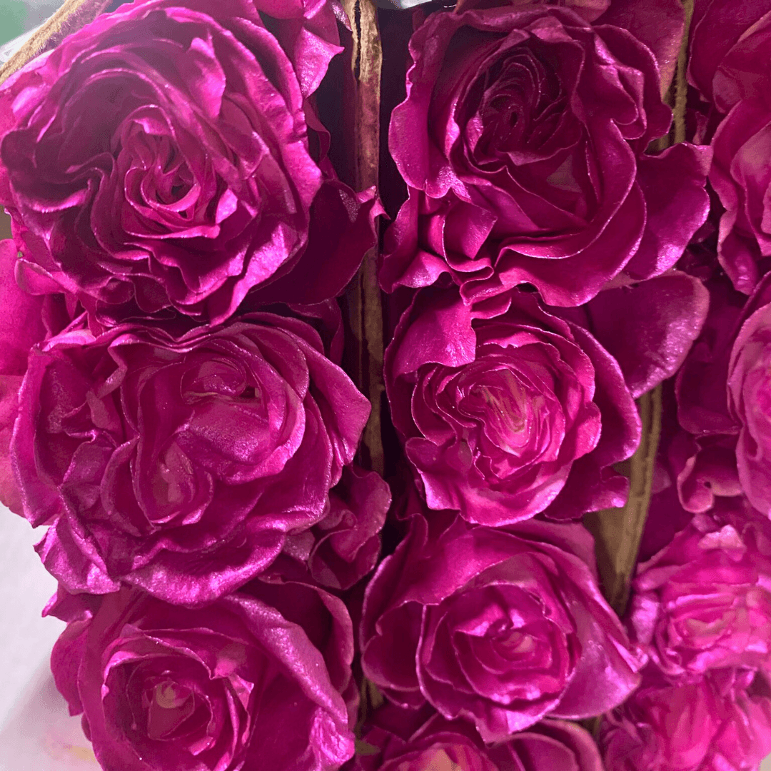 Lighted Roses Metallic Metallic Roses