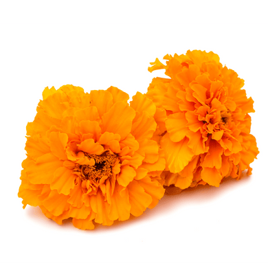 Marigolds - PR Floral Marketing