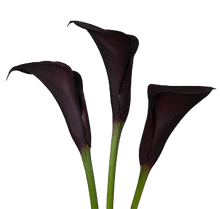 Cargar imagen en el visor de la galería, Mini Callas
