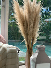 Cargar imagen en el visor de la galería, Pampas grass de 60” x 5 tallos
