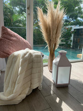Cargar imagen en el visor de la galería, Pampas grass de 60” x 5 tallos

