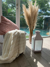 Load image into Gallery viewer, Pampas grass de 60” x 5 tallos
