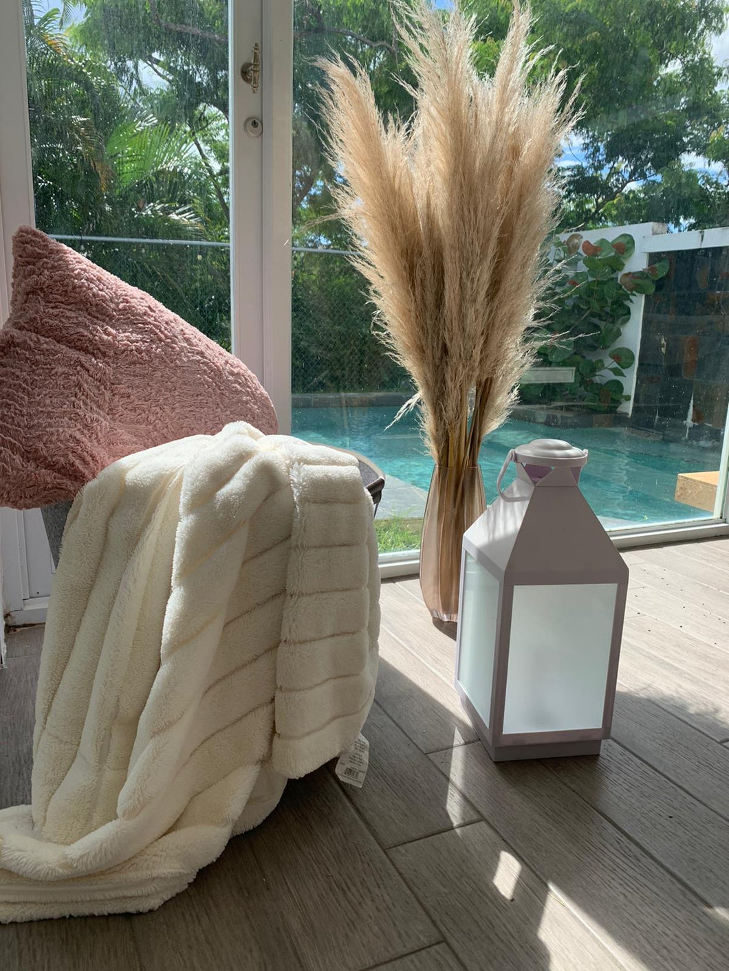 Pampas grass de 60” x 5 tallos