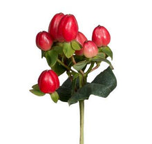 Load image into Gallery viewer, Hypericum berries
