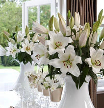 Cargar imagen en el visor de la galería, Oriental Lillie blanco
