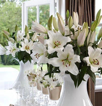 Load image into Gallery viewer, Oriental Lillie White
