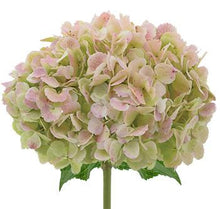Load image into Gallery viewer, Hydrangeas Green Antique
