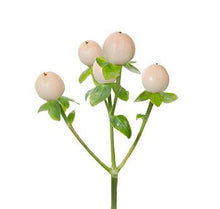 Load image into Gallery viewer, Hypericum berries
