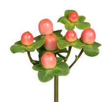 Load image into Gallery viewer, Hypericum berries
