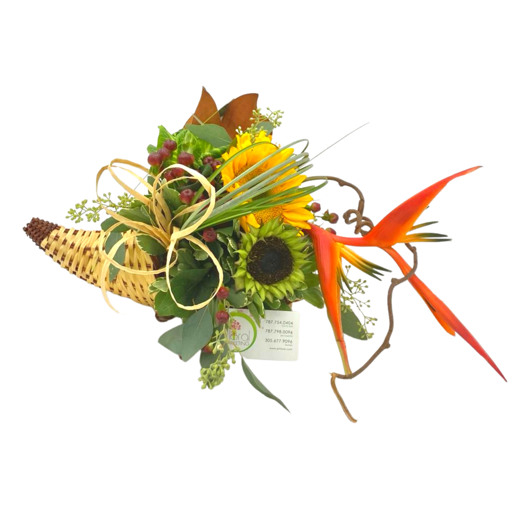Cornucopia
