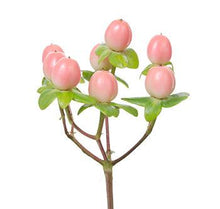 Load image into Gallery viewer, Hypericum berries
