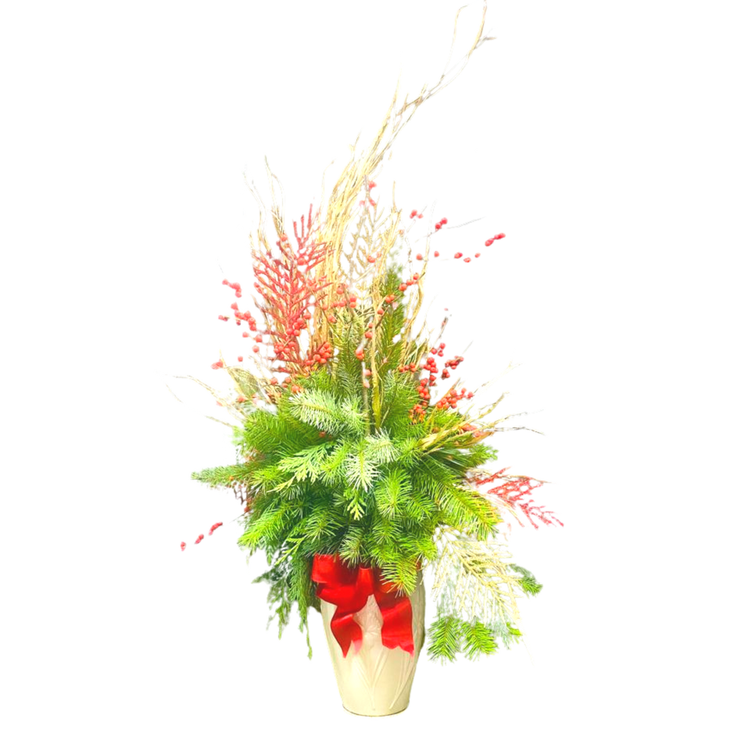 Ilex Fusion