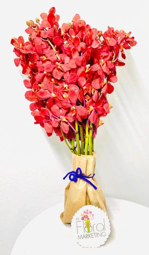 Mokara Orchids - PR Floral Marketing