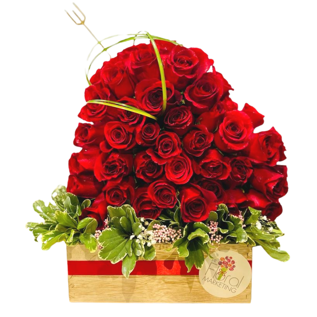 Heart Full of Love